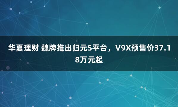 华夏理财 魏牌推出归元S平台，V9X预售价37.18万元起