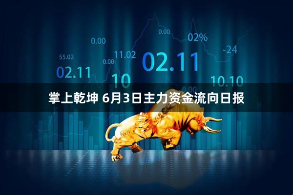 掌上乾坤 6月3日主力资金流向日报